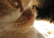 2018-12-28/16e3a8e5e53ffbe615b633635ef3aeeb_47584bd501f526ac54a53175170fce61