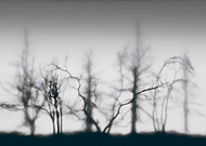 2018-12-28/895f3f6475f0f002da89fc6577237a47_87ba855106eb52d793ffddc47c212d6b