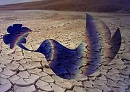 2018-12-30/07b7154d090a087c6f78a1aa2d7dca6b_187fed43d76c063c927004985f78bb9c