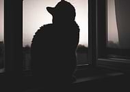 2018-12-30/acae3daf4273aa9ffe9aa201bc29629a_5b9217c103c6de5114fdadb531ed83d2