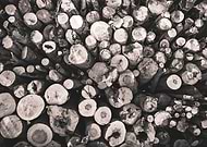 2018-12-30/c4ebbf42e3bed1943d05f597a0f8007e_b11728722048377f10632d5452883ca3