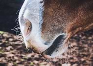 2019-01-01/0f0c3648a0759f1c7b2160343b001830_8dadd115e2d2320c0919c63b154b8ba7