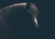 2019-01-01/3b4e892dcca0ecea68ddc9585a64a266_a41faba379ea1d2b780f65caf6dbf4ba