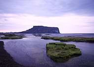 2019-01-02/42290141c737a55a1e9e1d073063d423_78ed9fdc85e5e08178b9c38f80009d20