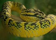 2019-01-02/e95f440c148a7885d9fb6ce54a2ae925_8c4acd9775fc1a60521463e116ae672f