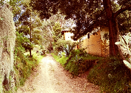 2019-01-02/fac544f0e80c99a2f545c112a865fa1a_34a5b6e60393e268a33b41d83edd8ff9