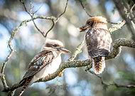 2019-01-03/073a2702f8a580ebf738b04648299d03_1a2e3aa6d18d6e00af2b5304e2aeddde