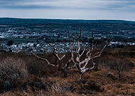 2019-01-03/11f2e306ad85f1c6e82c1c4da311122c_567e709fa3750baaf3e66387b538147e