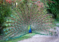 2019-01-03/86c1eede9daf77eae5d98759d72bc4d3_b08de485efaf15a51da3115ed76b2fe0