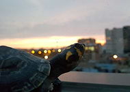 2019-01-03/b0ff37f0e38ef934cfee9570802d7ad8_59385b88f1488279d6256901b073f688