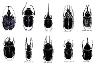 2019-01-04/b76d16c76ad76eaee7e81c05b1f7dee2_4ddad8b1565d31a413992961764141bf