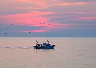 2019-01-04/cffcb3715aab58f1d6bead590451f252_bdbae10c379565e52b937f6a888f666b