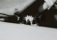 2019-01-04/f025502f18c31fe6b2b8ecd60a8eb6a1_21de7e6da2ea59aa4886e26f86040bdf