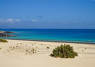 2019-01-05/88a6b000551fd51fca4fa6bf6ee67091_2a445bd510dd7c6498fc6bee4c556a56