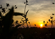 2019-01-05/bfa7c52e5d56ce70c6cec1189839abf6_2141f442f610502ccdab70b9d3649122