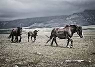 2019-01-05/f3a2c2636bebc6766c6454cd712b4d00_ac107b8ec4b9e0c46a089f44bd0b3503