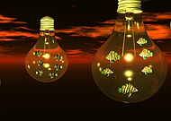 2019-01-06/1299570bbd677abfd348cba2ee390d53_3cd76ba0421813454e1837a8d31a69fe