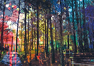 2019-01-06/29537b0ca3ec88ed27eb8f79d6793c0a_1554fe1004abf57406cabe58d7471671