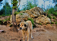 2019-01-06/5973b59f4208d3e2d102bf9be3ca26e2_681f20a0f2dc0f79fc5023f0aca2b8e8