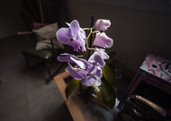 2019-01-06/893a84d544478490113da1888b8dcbdc_4d94acd8ea75d1b3c285633b4f445dbe