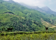 2019-01-08/28bcc3f1f180ad93ca30f26f15284c11_1edef6a5441efba23604c743cf0d9c63