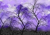 2019-01-08/bd263c401a1c800a1790cbd6a262c526_feddeeb0d5f93d52ff79e51e731589f9