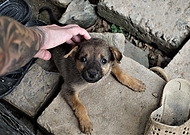 2019-01-08/eccab0f33e499962d7fceb06fe599ac9_15d68657c802b4c0174194a055b460f3