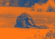 2019-01-09/aef3068083b370ca5ad6e36ea8b77f19_6e9197b0122ee81f0ef5f1926e8fe1ff