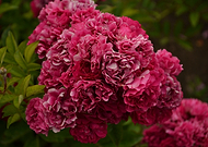 2019-01-10/39751f0e02ce2c2aec4d9115172b31f4_fd5742696d82a6a326a9ad422954ea47