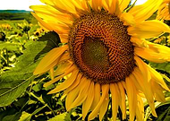 2019-01-10/3e56f0364eb1c8e574b65bc9cc76acfd_647435f9cfbe25deb2e1343000f80a16