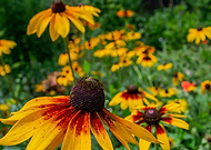 2019-01-10/e3a5ab723754d6e53855c8611e6938c8_ba2fbc290712036e76a6db5ae2b8c0fa