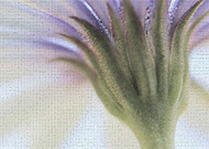 2019-01-11/32230dff0016ccff2857fd17b31c6068_99cace29000026e694d2dd5e2f81b247