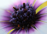 2019-01-11/4d95accaf3bcb72065facc248f631a51_ca08188acc412e35bc7064646c14ffe2