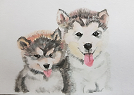 2019-01-12/005528ddb8b9bd816e390d76678cb8ac_3250e7e4f084cd62104ebdd45db88cde