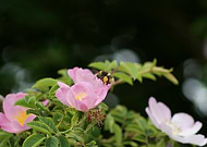 2019-01-12/118135d75f2ac6b0aea891d2ac176403_f39fbefe8edbf8982226a9ab4007f82a