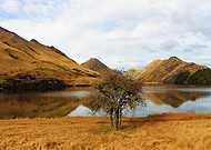 2019-01-13/89f975462e3cb2836a0a8544d058c543_412fe5ed76ca9be565e2d7ead4cc1d0d