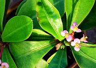 2019-01-13/bee0169ab04cb11f3444d686a6187e9b_c7a05f23b4c6aaf381fea5a9deefd2b7