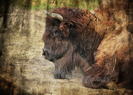 2019-01-14/1320785d1b56f2ab86fc583b0630412e_015c6b21758117e1f2f3bd8ce8847595