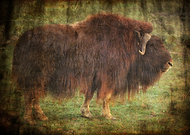 2019-01-14/1f8e90ea7a48cbf08acff70391c1eb02_b04b76f56d9e7cd206249e262c5da664