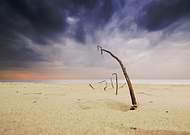 2019-01-14/82a5dcb92d20354c67e95707c3fe3d6e_02f7b7f362e2324e21050a69d0b4e2ea