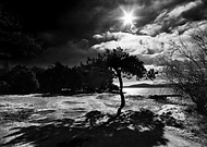 2019-01-14/db9f9781a743b55d2455b7f431615373_a1c30e4b7291bc8ab3339a5958dfcaa7