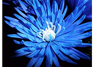 2019-01-14/dce31575edb97e4644f6bed188bc4f3c_98083b8e1a531b8ae916e6373e3415a1