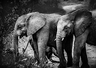 2019-01-14/e9dd49c518fc6f640317c7093bd2a40a_bd251eb9e3272ba5e1b352989f1a7231