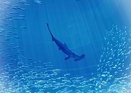 2019-01-14/f092cd018c1e258ffec2209b3dcd4947_4b15c45c2dfa4c316b3ddfebc1eeeb5f