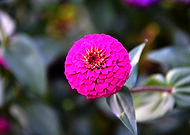 2019-01-15/571876800308b5cb56a91ca9f3cbb633_114149d3923391dfb7cc85ec78dde225