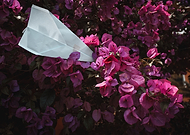 2019-01-15/b9f39bcf43a64d66b3daf671739ee1b4_555f72294ef93135d5734d5377db23dc