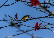 2019-01-15/ee9dcb16ec8a496c3756336908e67e6a_d36219c387579e900675523f78683612