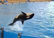 2019-01-16/13d767d732e64dbf8ed92466824f15a3_0854c4347ec3fe26e0aec23256d35f86