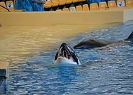 2019-01-16/1e8a739879f6540944397daea20f011c_2ca34100275eb0d3fe5f5acd2e32ddaf