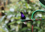 2019-01-16/83a119f201b937391f2557483739e2e0_e38df9370f7beb9f3f8bc5a2c9a00351